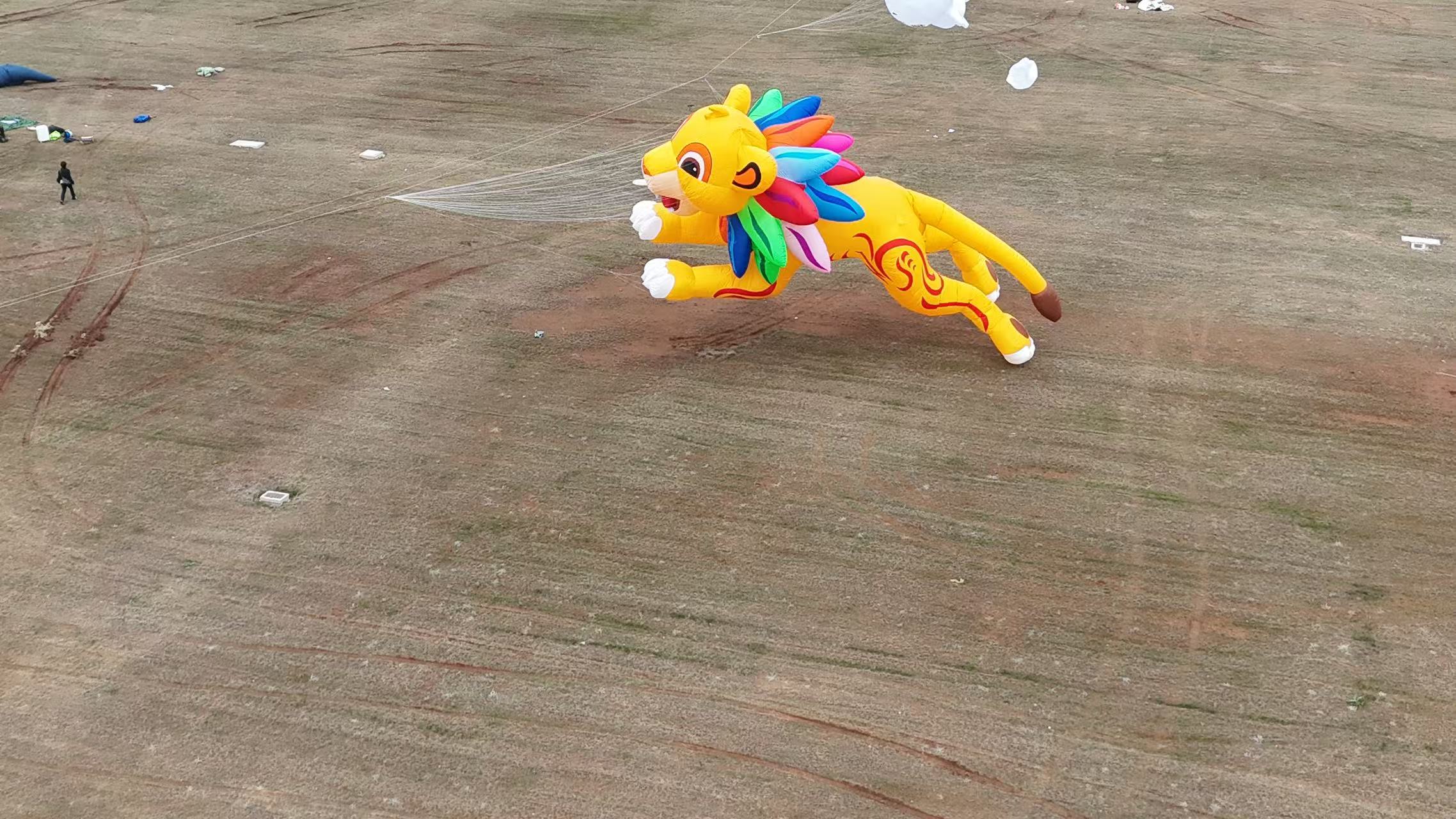 泰安市品牌风筝定制风筝放飞活动策划 - 厂家
